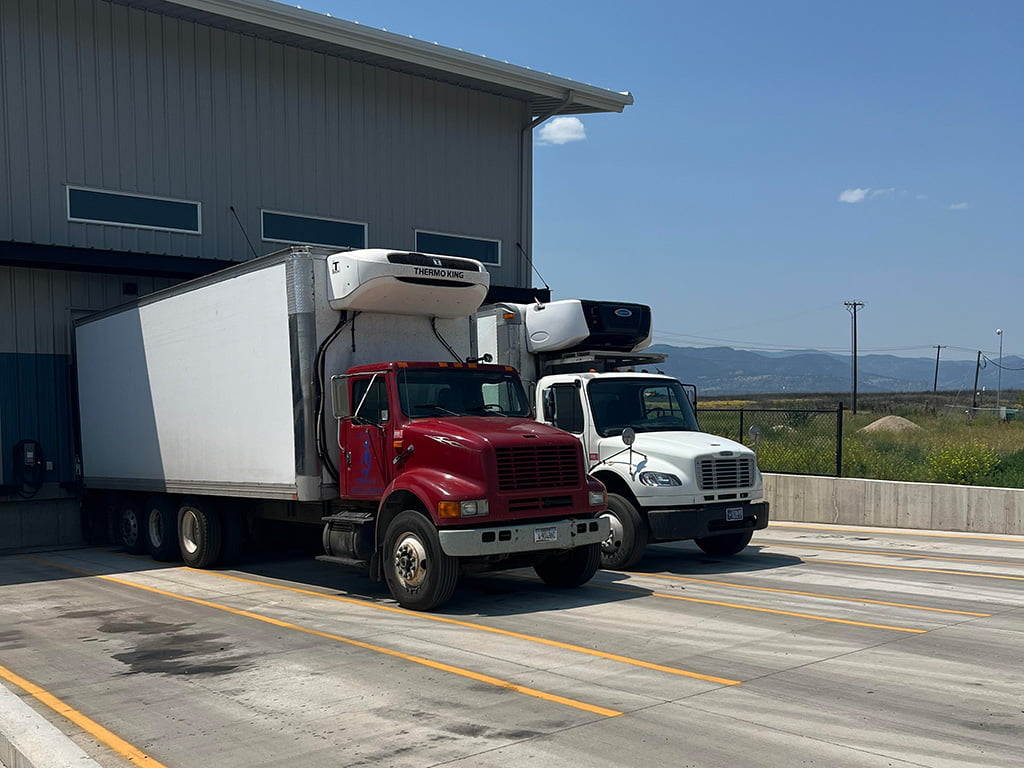 Our Ice Delivery Trucks - What We Do - VW ICE